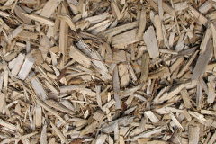biomass boilers Treen